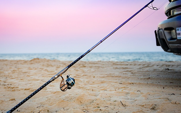 Guía de Pesca en Playa en Puerto Progreso, Yucatán