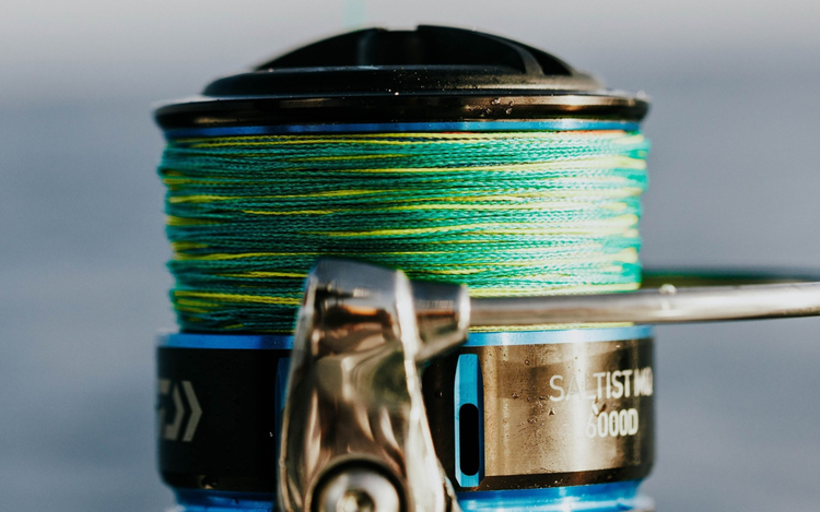 Líneas de monofilamento