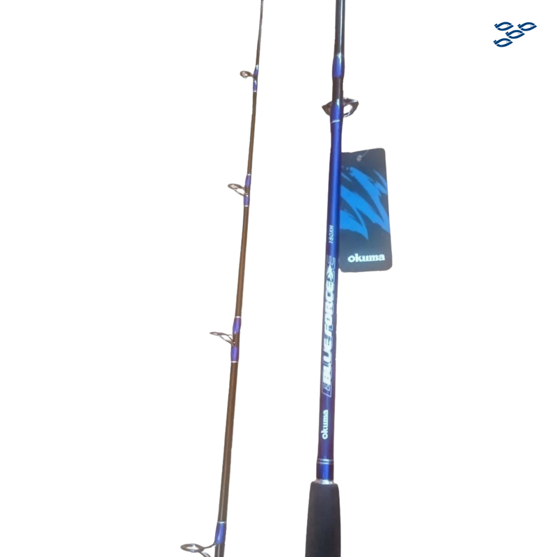 Cargue la imagen en el visor de la galería, CAÑA BLUE FORCE SP 7�0 XH 30-60LBS 1P
