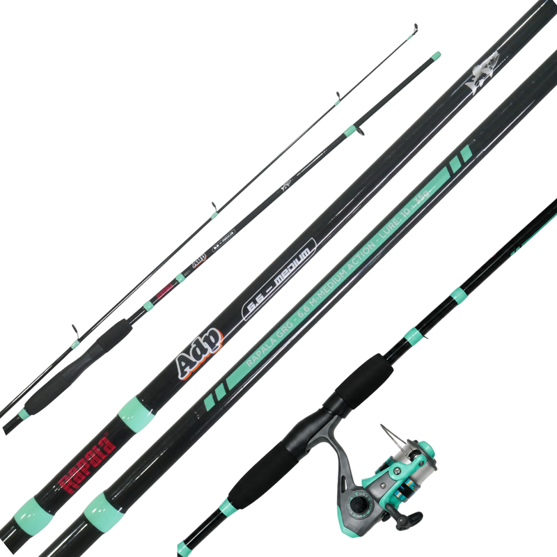Cargue la imagen en el visor de la galería, RAPALA - COMBO ADP CAÑA DE 6'6" + CARRETE 3000 1BB+ ACCESORIOS
