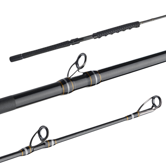 CAÑA PENN JIGGING CARJGIII80200S60