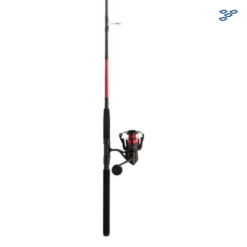 Cargue la imagen en el visor de la galería, COMBO PENN SPINNING FRCIV6000661JG
